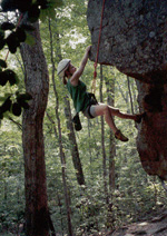 Stephclimbing.jpg