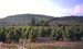 Beaujolais
