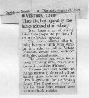 Article about our loved ones passed