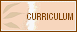 Curriculum Vitae