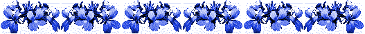 DIVIDER