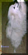 buster2