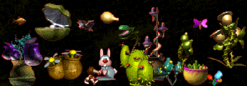 Tiere und Pflanzen in C2