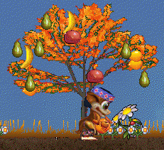 Im Winter ist dieser Baum nicht so pr�chtig.