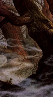 The Forest