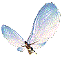 Dana, the faery