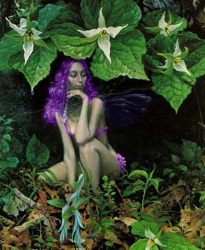 Del the Nymph
