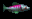 ZANDER FISH