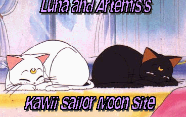 The Wonderful World of Sailor Moon Award