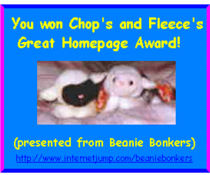 Beanie Bonkers Award