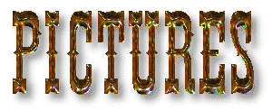 picture.gif (19673 bytes)