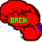 bglovebtn.gif