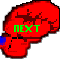 nglovebtn.gif