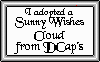 sunnywishcertificate.gif
