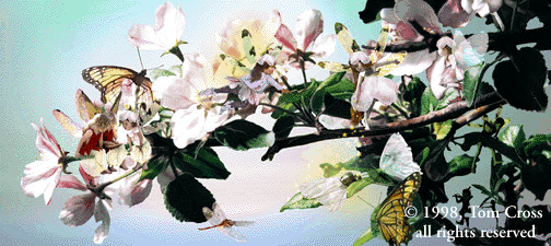 blapple.gif
