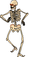 shanim1.gif