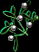 mistletoe