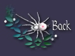 spiderbck.jpg