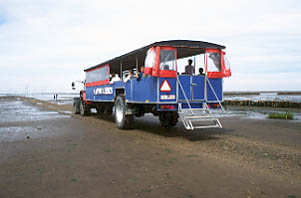Mand&oslash;-Bussen auf dem Ebbevej