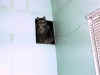 THE_CAT_FROM_HELL.JPG (32232 bytes)