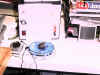 a_wee_bright.JPG (48027 bytes)
