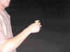 greenfroggy.JPG (46888 bytes)