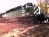 greenloco.JPG (66811 bytes)