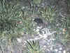 iseeyou.JPG (112571 bytes)