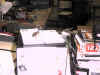 my_lil_helper2.JPG (45697 bytes)