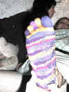 newsocks.JPG (68614 bytes)