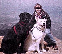 AUTHOR'S WIFE & DOGS - 14K