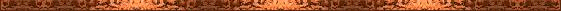 bar03.gif (7468 bytes)