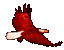 eagleline.gif (4985 bytes)