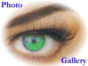 Photo Gallery 