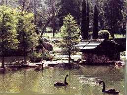 Foto del Lago de Castrelos