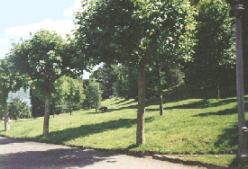 Parque del Castro
