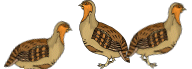 Three French Hens