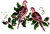Two Turtle Doves