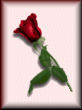 Valentine Trivia Contest