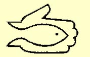 Swan Valley Sports Fish Enhancement Logo