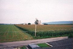 Neighbor's Farm