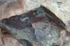 DSCN4002