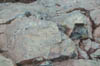 DSCN4003
