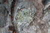 DSCN4036