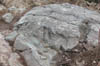 DSCN4005