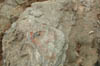 DSCN4028