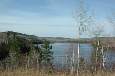 View from East shore of Latour Lk.