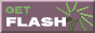 getflash.gif (690 octets)