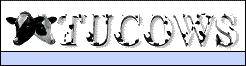 shareware business programs