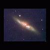 m82_m.jpg (1426 bytes)